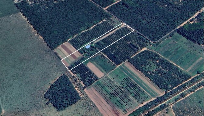 Foto - Imóvel Rural (chácara 79) com 2 ha no Sítio Santa Maria - Próx. ao Aeroporto Santa Maria - Campo Grande - MS - [2]