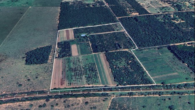Foto - Imóvel Rural (chácara 80) com 2 ha no Sítio Santa Maria - Próx. ao Aeroporto Santa Maria - Campo Grande - MS - [4]