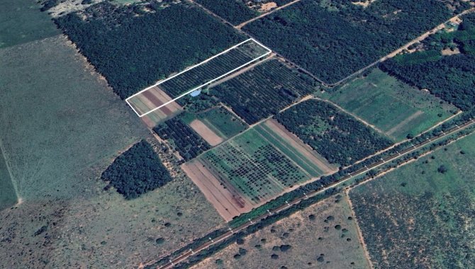 Foto - Imóvel Rural (chácara 80) com 2 ha no Sítio Santa Maria - Próx. ao Aeroporto Santa Maria - Campo Grande - MS - [2]