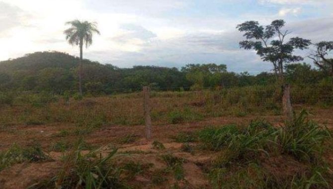 Foto - Fazenda - Campos Lindos-TO - Estrada Vicinal - Rodovia Estadual TO-226 - Lote 226 - Loteamento Campos Lindos - [3]