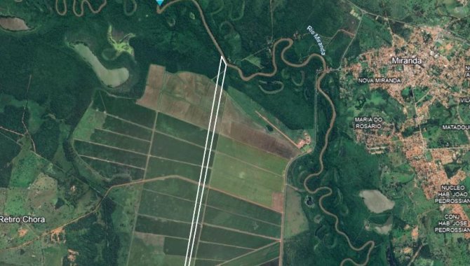 Foto - Área de Terras com 42 ha - Fazenda Pouso Alegre (Beira do Rio Miranda) - Miranda - MS - [3]