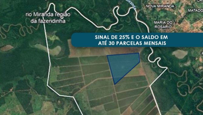 Foto - Área de Terras com 123 ha - Fazenda Pouso Alegre - Miranda - MS - [1]