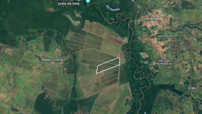 Foto - Área de Terras com 99 ha - Fazenda Pouso Alegre - Miranda - MS - [3]